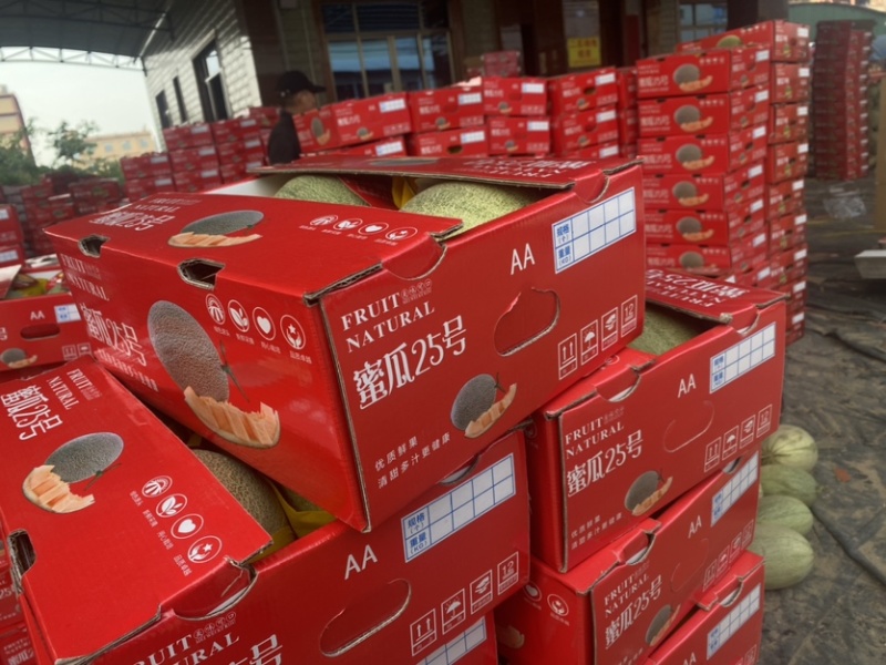 专业代办哈密瓜
