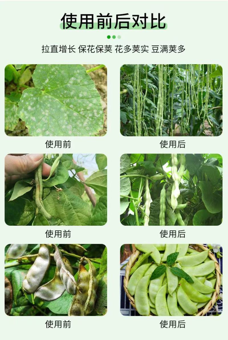 水溶肥：豆满棵保花保果，生根促根工厂直发货足