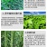 水溶肥：豆满棵保花保果，生根促根工厂直发货足