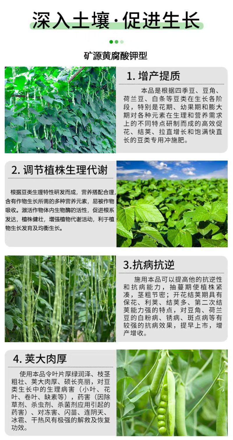 水溶肥：豆满棵保花保果，生根促根工厂直发货足