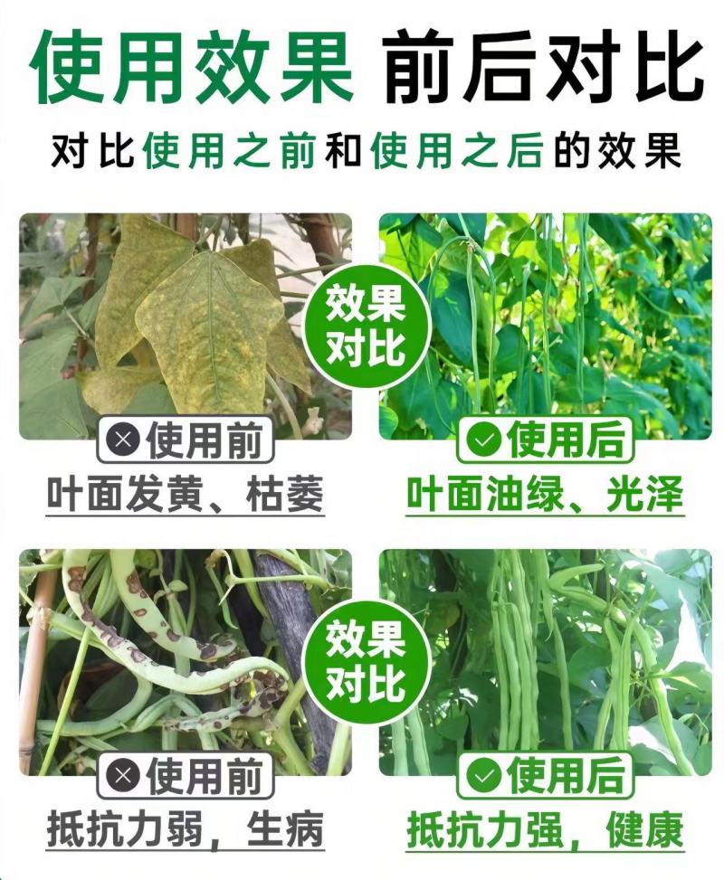 水溶肥：豆满棵保花保果，生根促根工厂直发货足