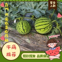 台州黄琅8424西瓜