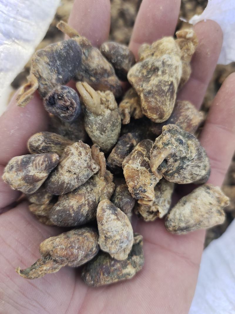 中草药兔心，品相完整欢迎咨询采购