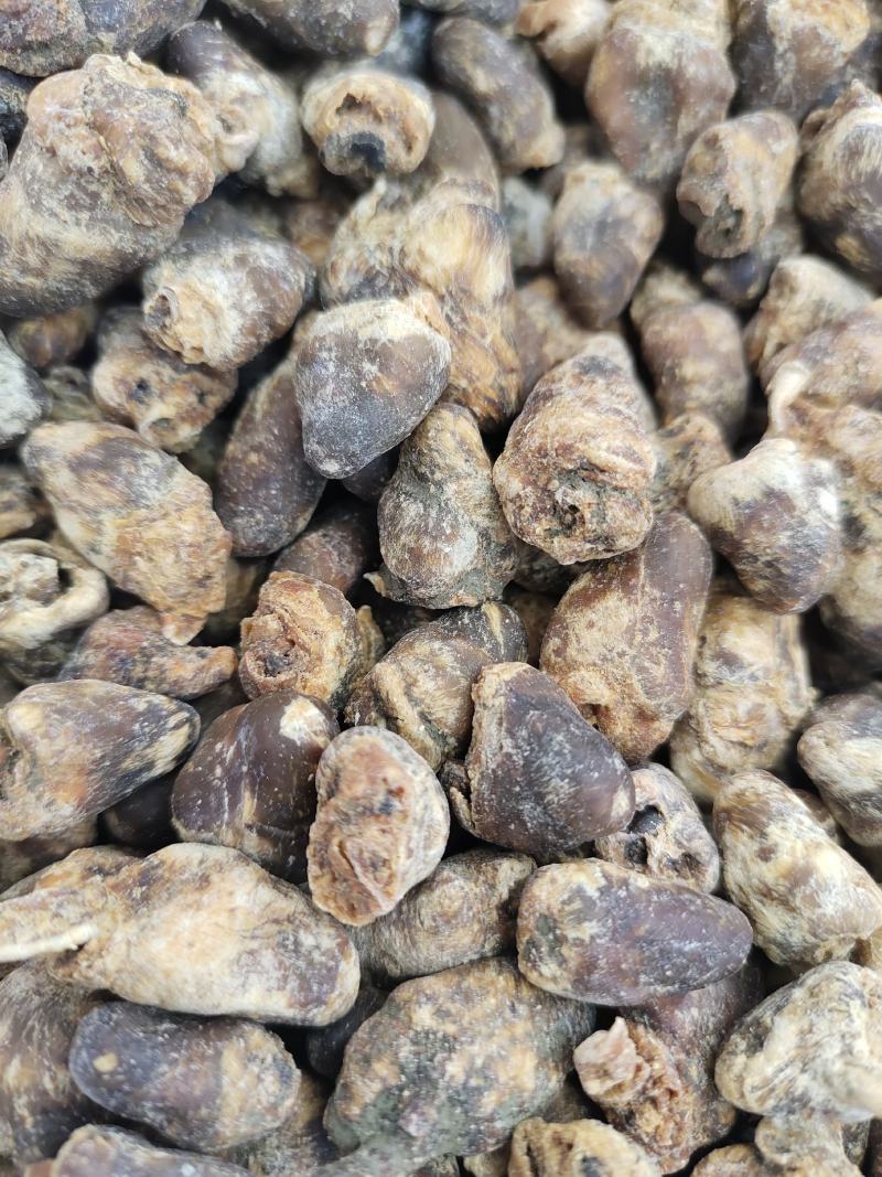 中草药兔心，品相完整欢迎咨询采购