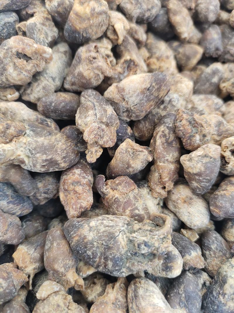 中草药兔心，品相完整欢迎咨询采购