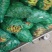江苏蚕豆大量供应现货量大价格便宜可全国代发