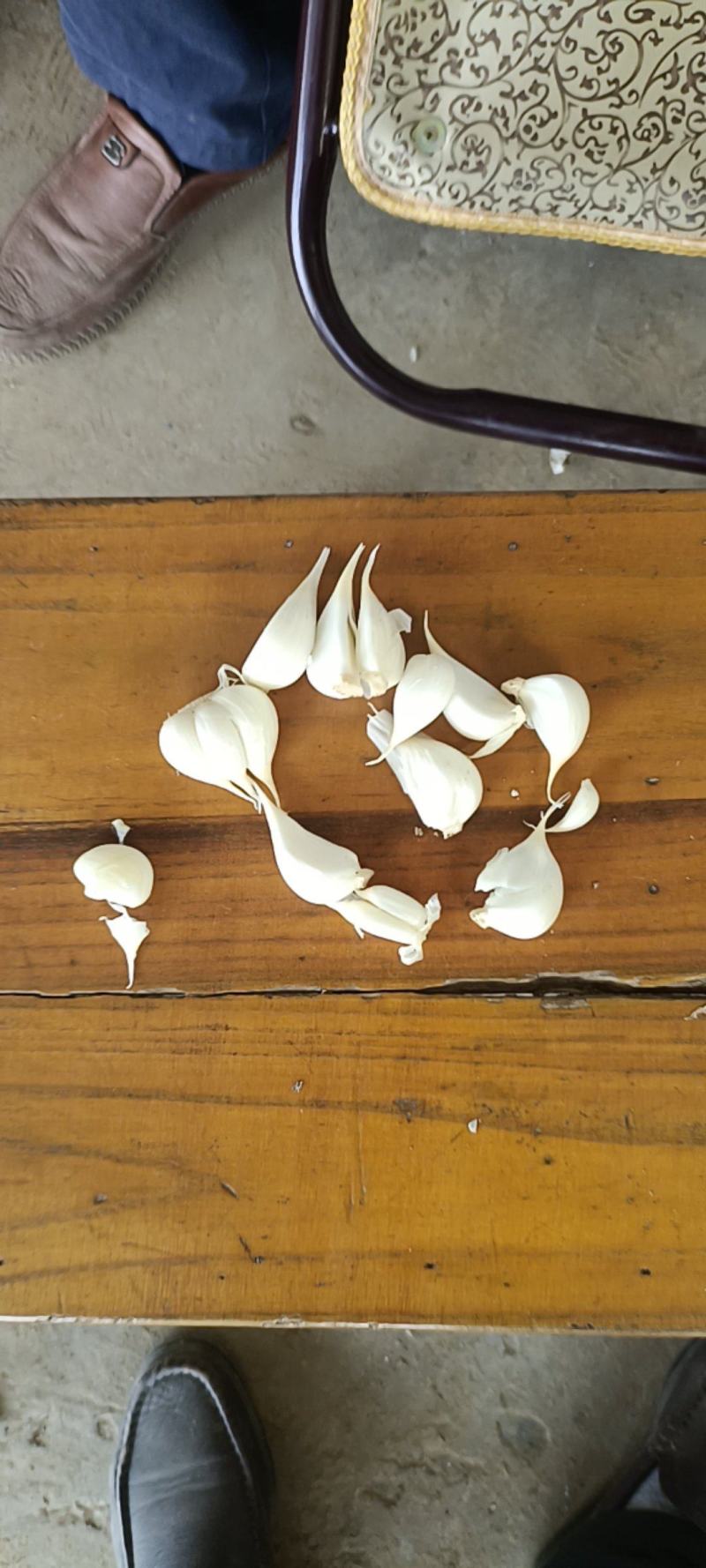 江苏射阳白皮鲜蒜头以上市