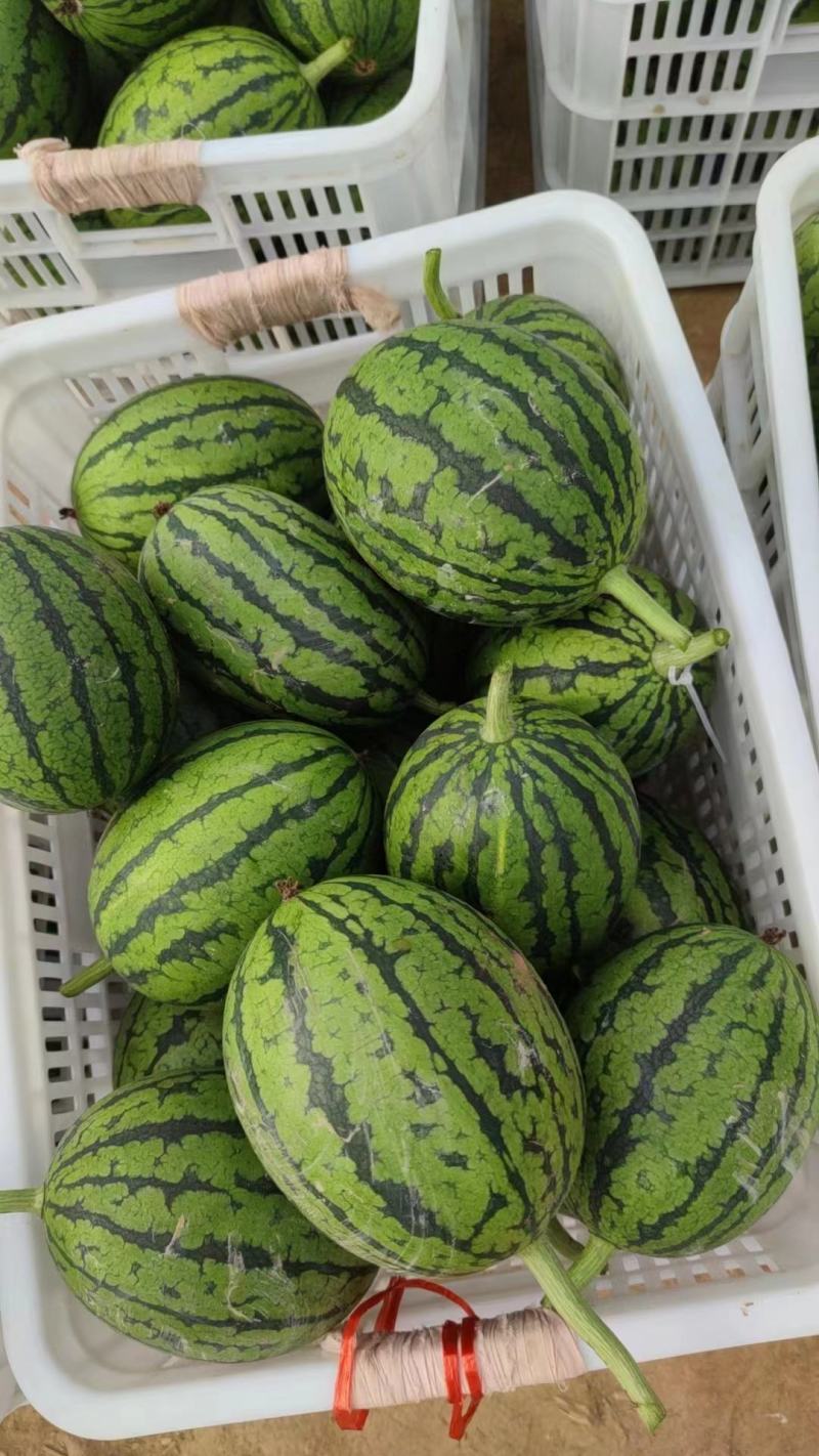 手慢无