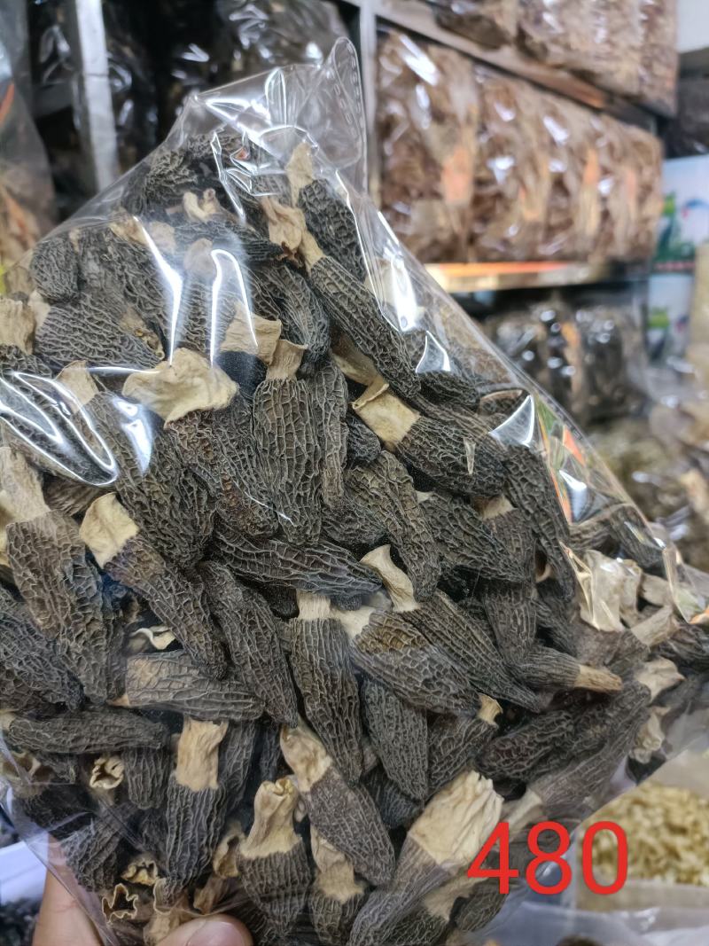 【上新】精品羊肚菌净重500g