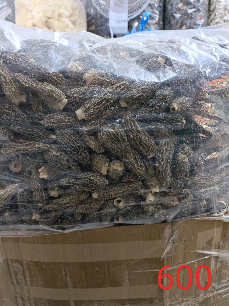 【上新】精品羊肚菌净重500g