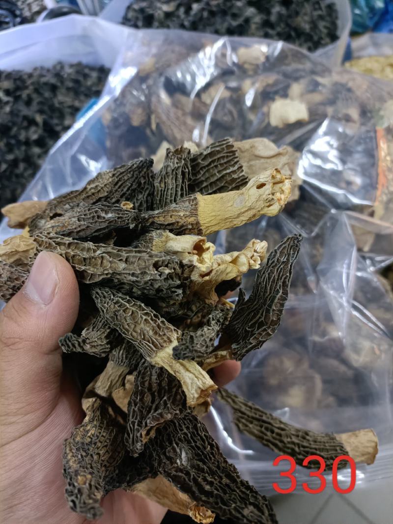 【上新】精品羊肚菌净重500g