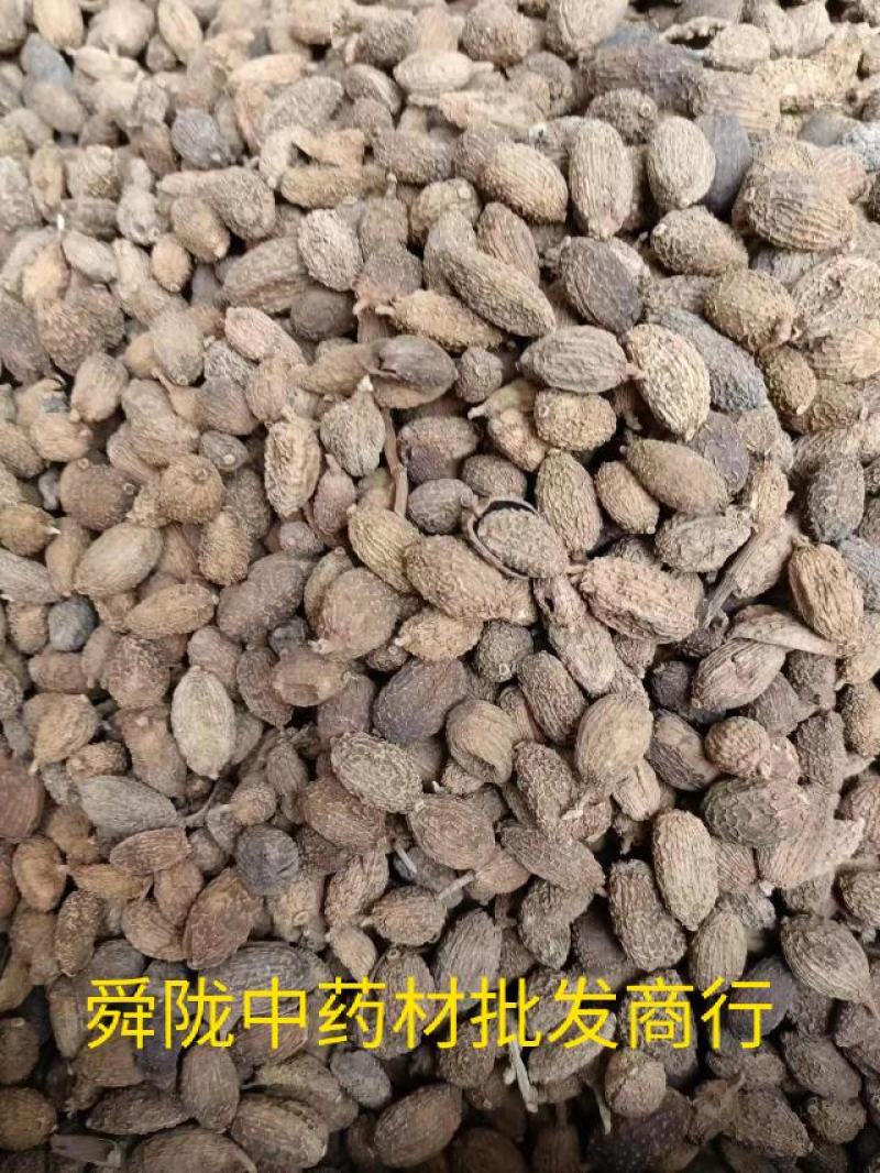 番泻叶，实拍，有现货有现货24小时内发货