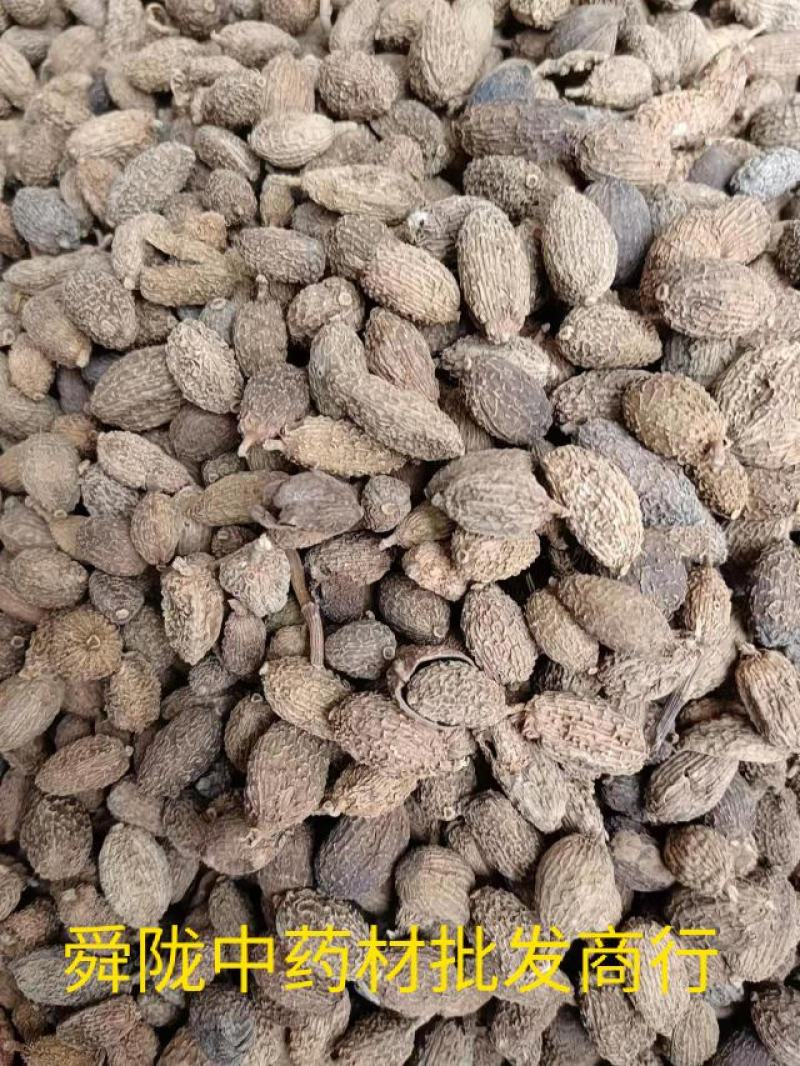 番泻叶，实拍，有现货有现货24小时内发货