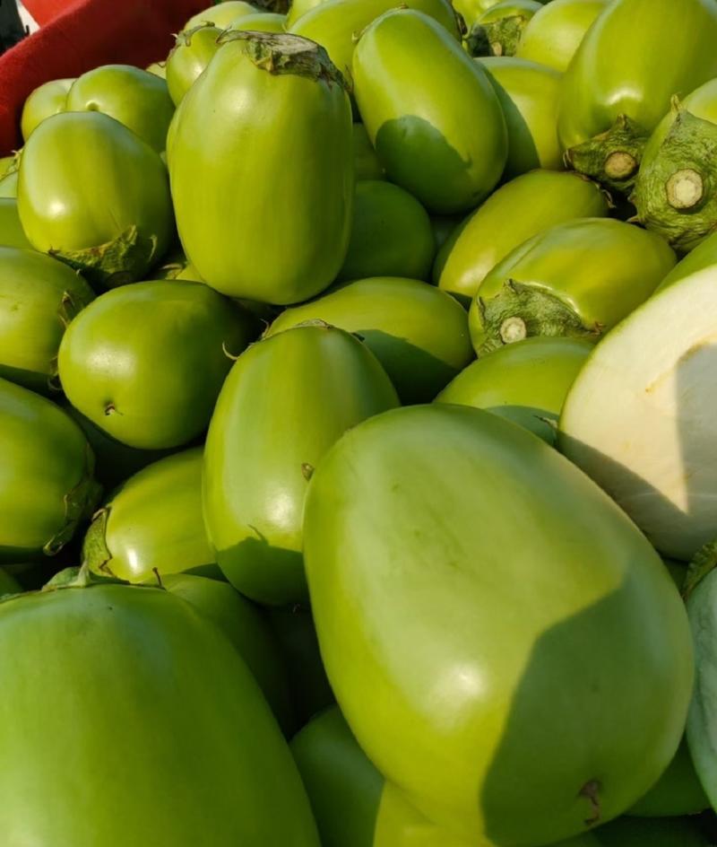 青茄产地货源对接量大价优全国代发可视频看货
