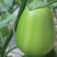 青茄产地货源对接量大价优全国代发可视频看货