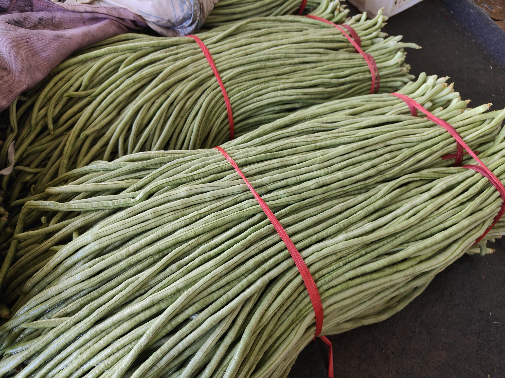 清炒长豆角成品图