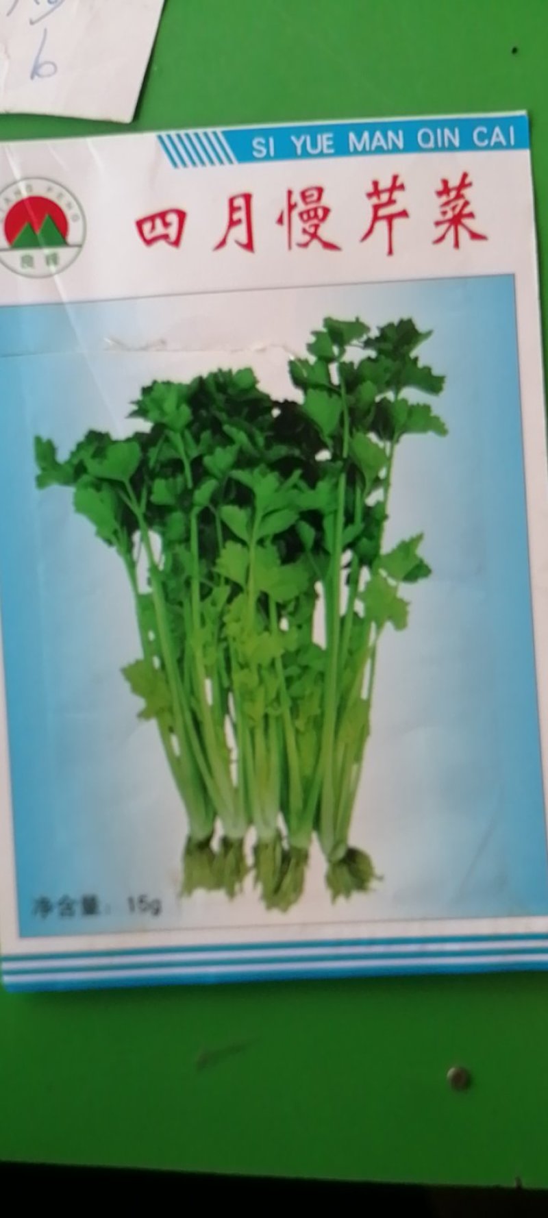 杭州良峰四月慢芹菜种子耐寒耐抽苔产量更高耐寒性强商品性好