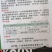 杭州良峰四月慢芹菜种子耐寒耐抽苔产量更高耐寒性强商品性好