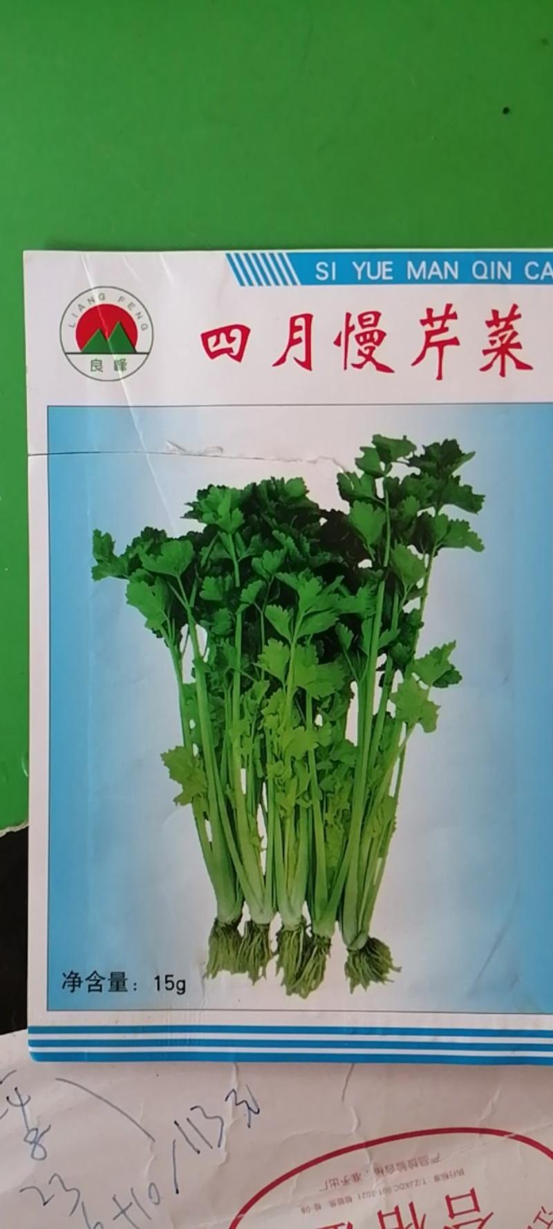 杭州良峰四月慢芹菜种子耐寒耐抽苔产量更高耐寒性强商品性好