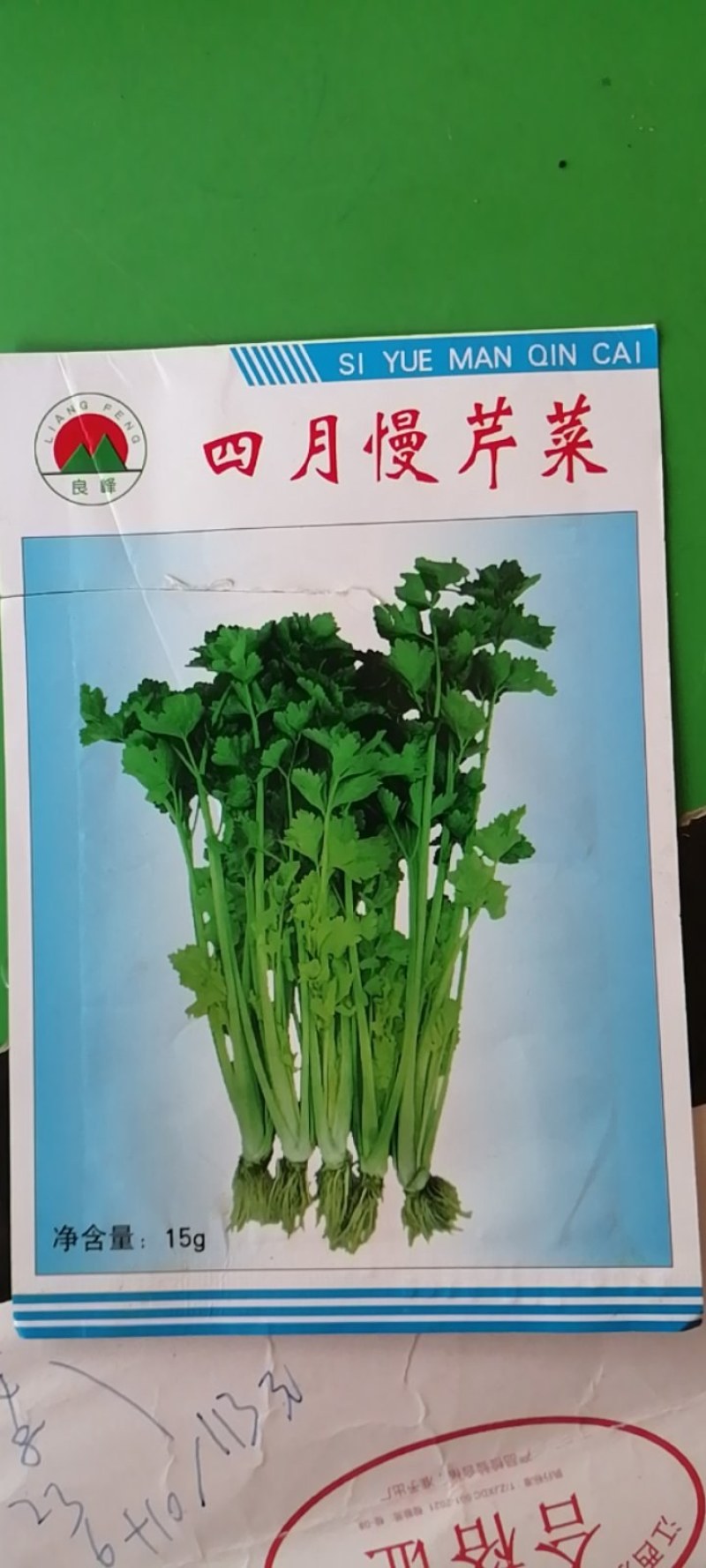 杭州良峰四月慢芹菜种子耐寒耐抽苔产量更高耐寒性强商品性好