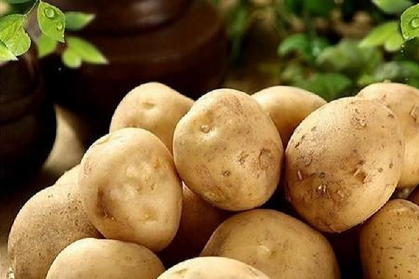 土豆营养成分示意图