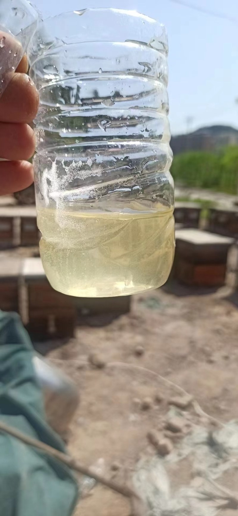 高浓度精品洋槐蜜槐花蜜自有蜂场直供桶装批发