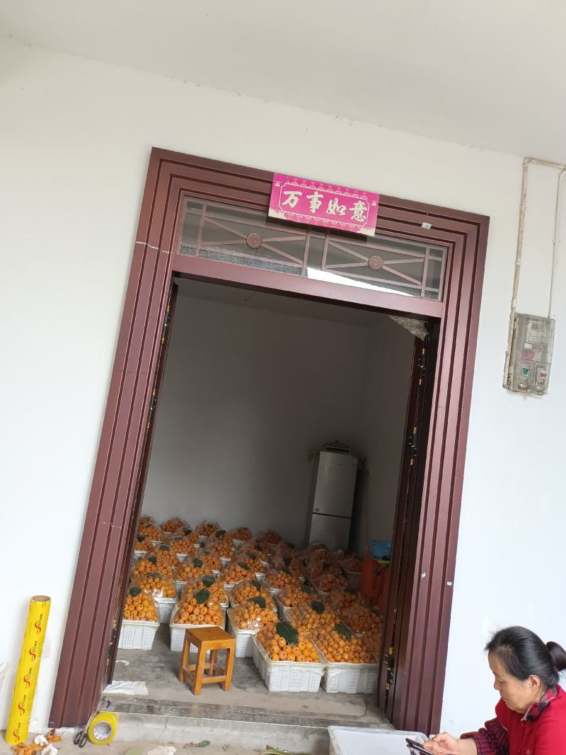 巴阳大5星大量上市