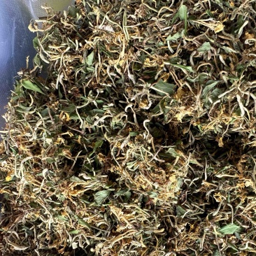 金银花