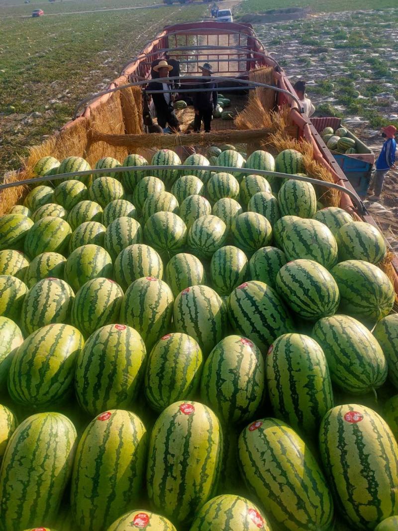 宁夏中卫硒砂瓜石头瓜大量上市产地一手货源包甜包售后