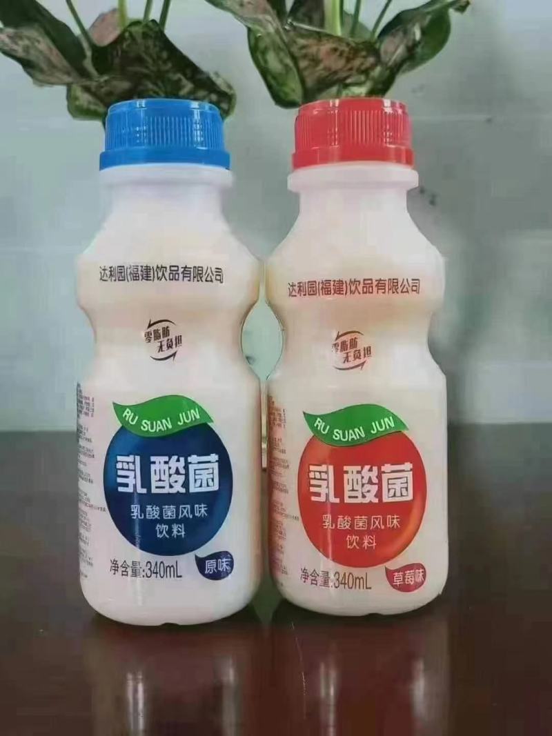 达利园乳酸菌