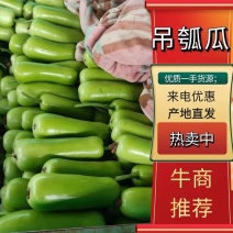 [推荐]河南焦作瓠瓜大量上市品质保证货源充足