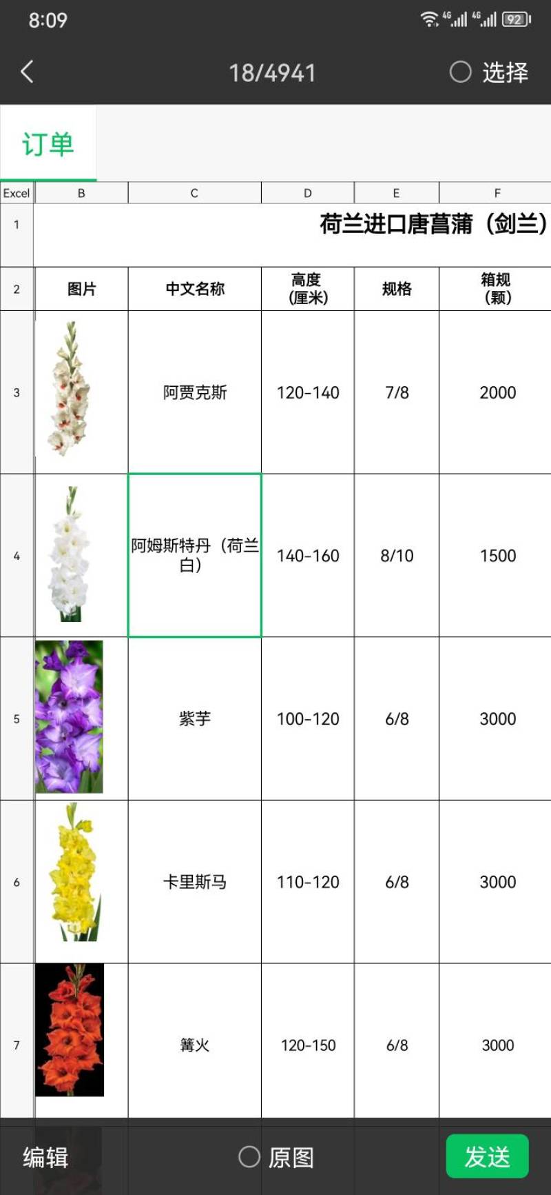 荷兰原装进口唐菖蒲剑兰种球切花景观花海盆栽大量供应