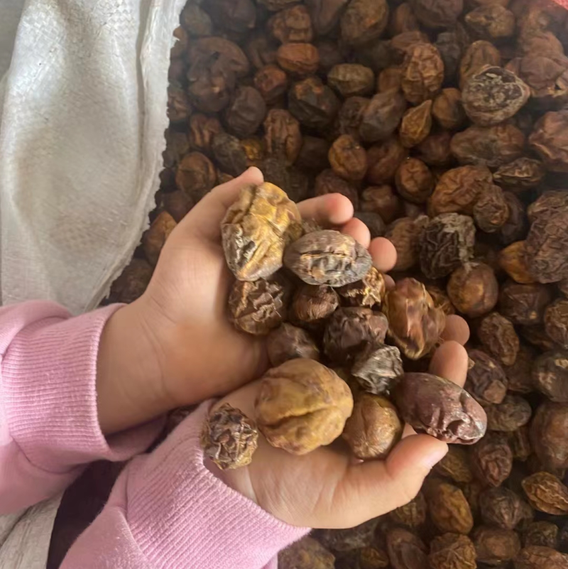 柯子
