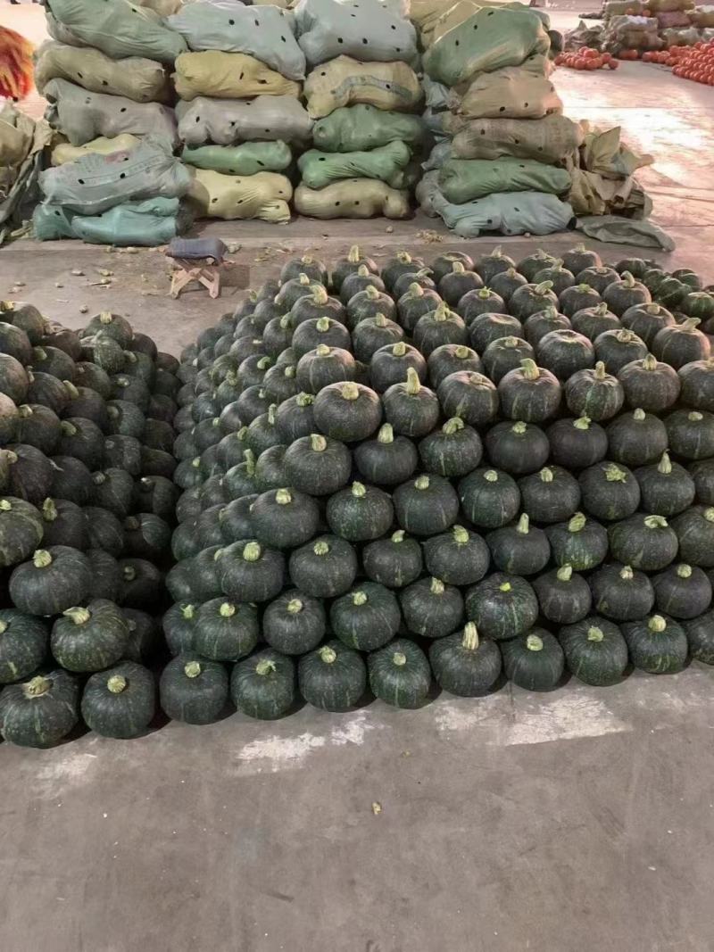 板栗南瓜河北南瓜量大瓜形好甜糯精品商超电商供应欢迎联系