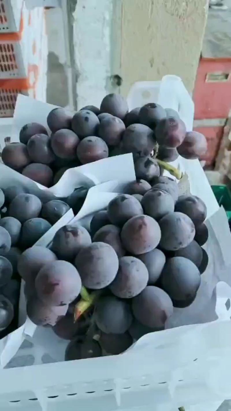 夏黑葡萄种植基地大量现货大颗粒大串甜葡萄