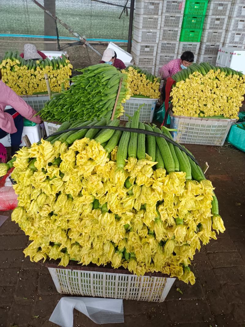 鲜花丝瓜