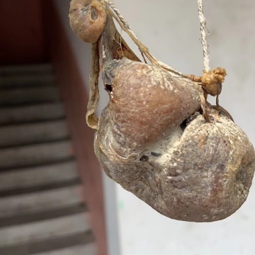 鹅宝
