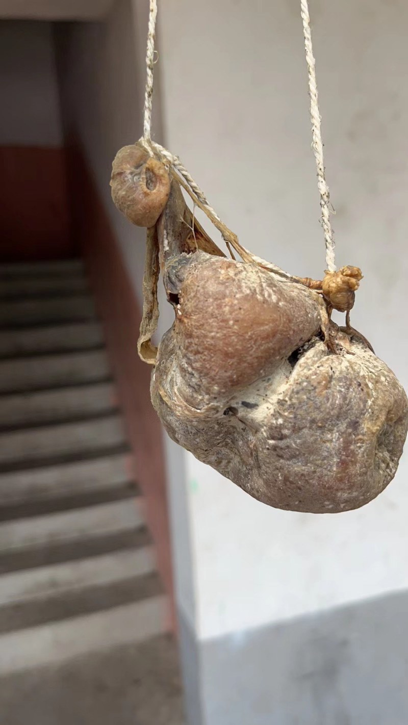 鹅宝