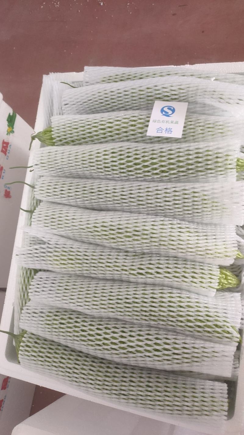 苦瓜产地直发，一手货源，货源直采，量大价优