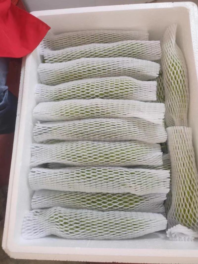 苦瓜产地直发，一手货源，货源直采，量大价优