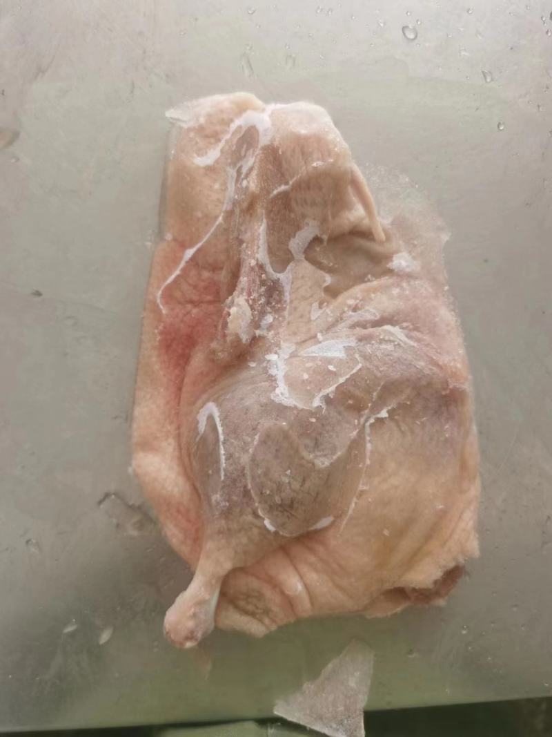 一级半片鸭，二级半片鸭长期有货质量保证