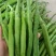 [云南线椒]8号软皮线椒各种规格对接各大市场商超电