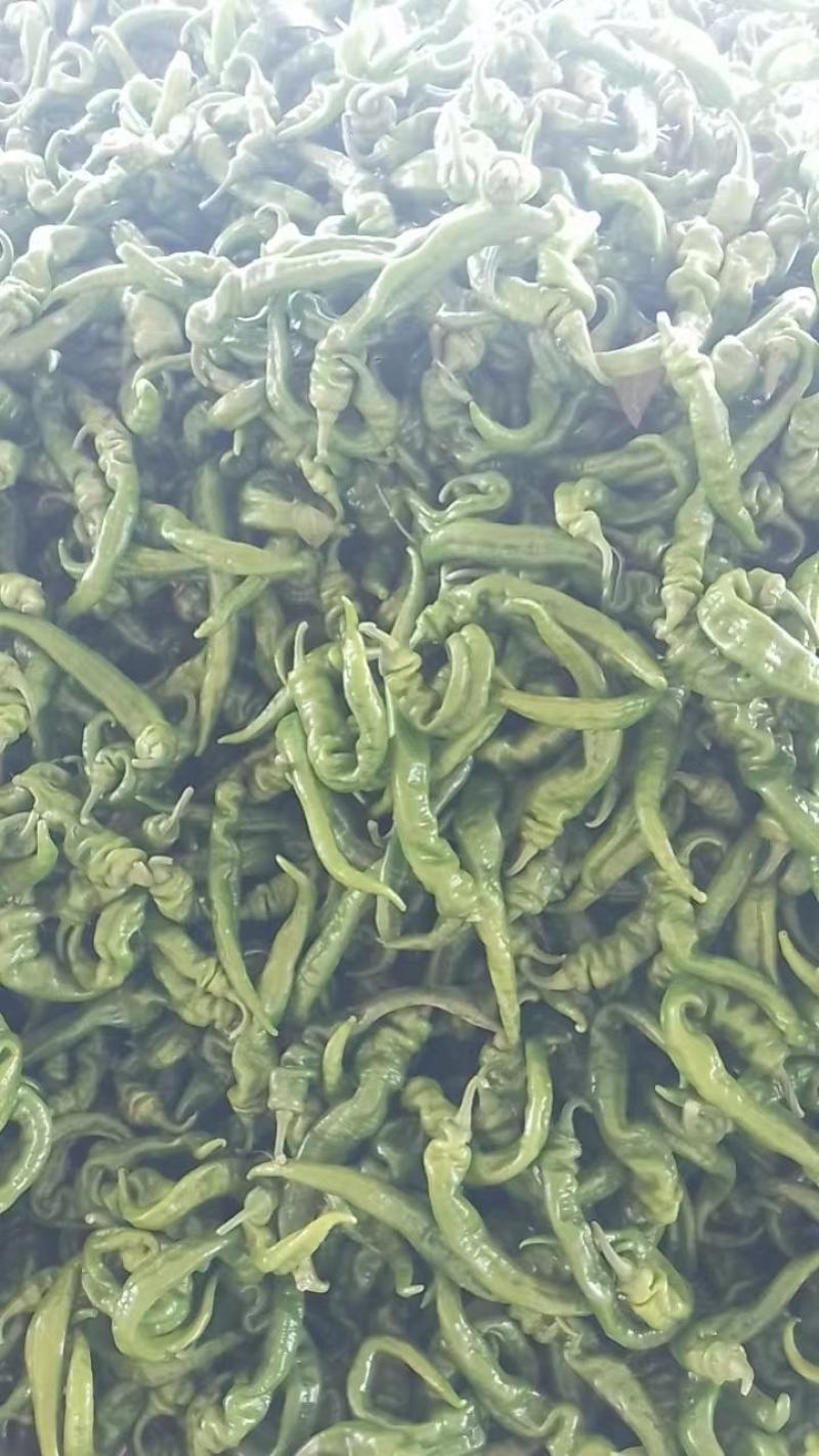 螺丝椒