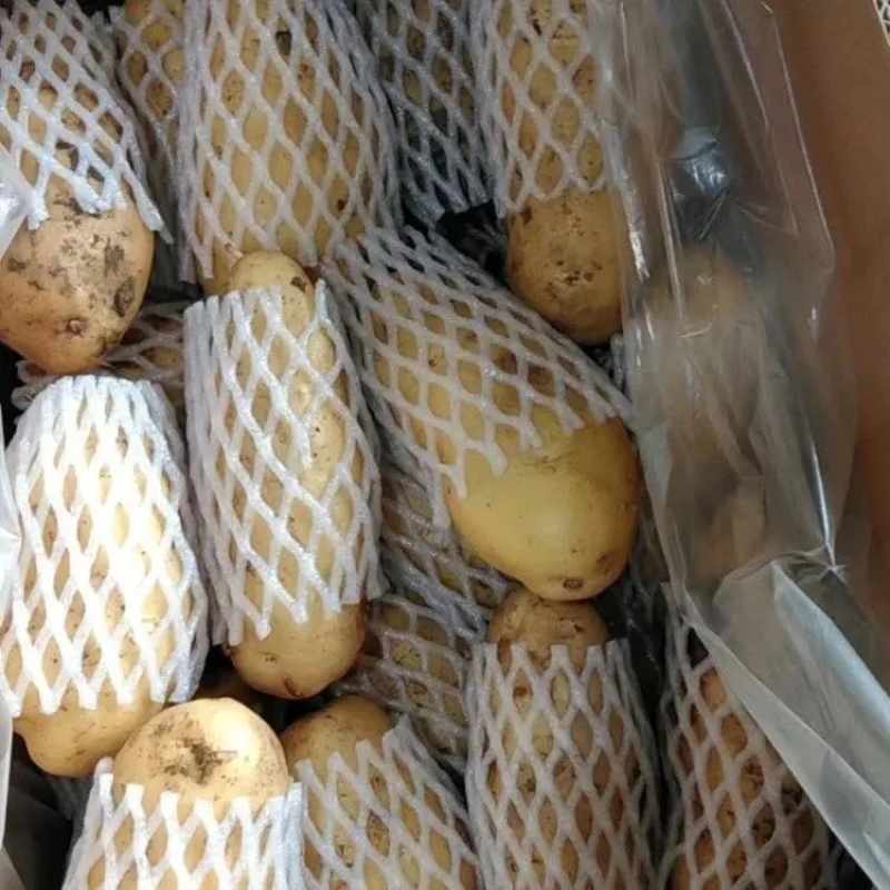 【推荐】商丘精品土豆荷兰十五土豆黄心土豆大量上市