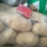 【推荐】商丘精品土豆荷兰十五土豆黄心土豆大量上市