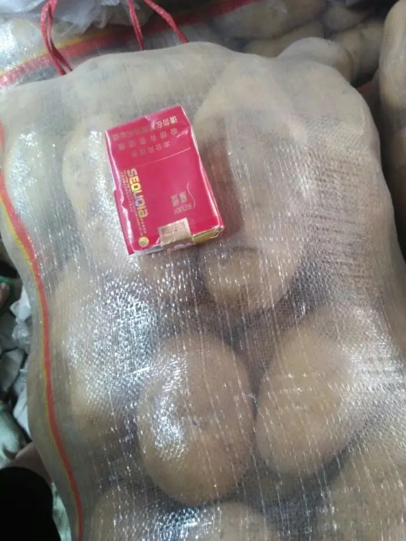 【推荐】商丘精品土豆荷兰十五土豆黄心土豆大量上市