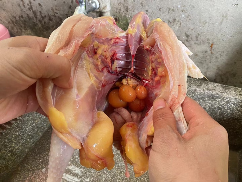 鸡蛋剖面图展示蛋黄部分,强调其富含叶黄素 鸡蛋中含有丰富的叶黄素