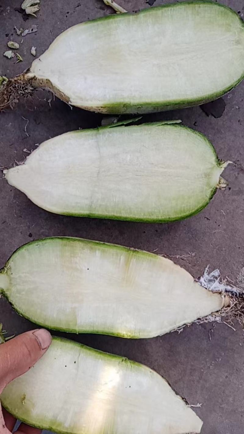 水果萝卜