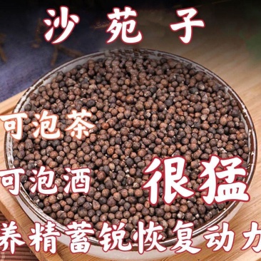 沙苑子正宗山西沙苑子泡酒料泡茶泄中药材免洗沙苑子阳茶