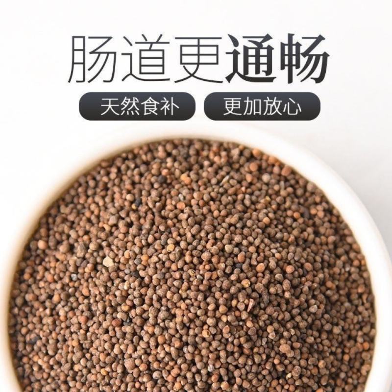 沙苑子正宗山西沙苑子泡酒料泡茶泄中药材免洗沙苑子阳茶